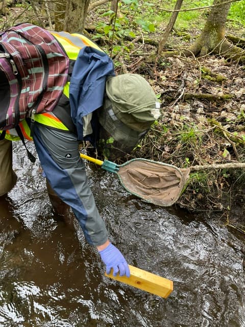 Curt Sheffield wearing field gear for stream and wetland restoration surveys